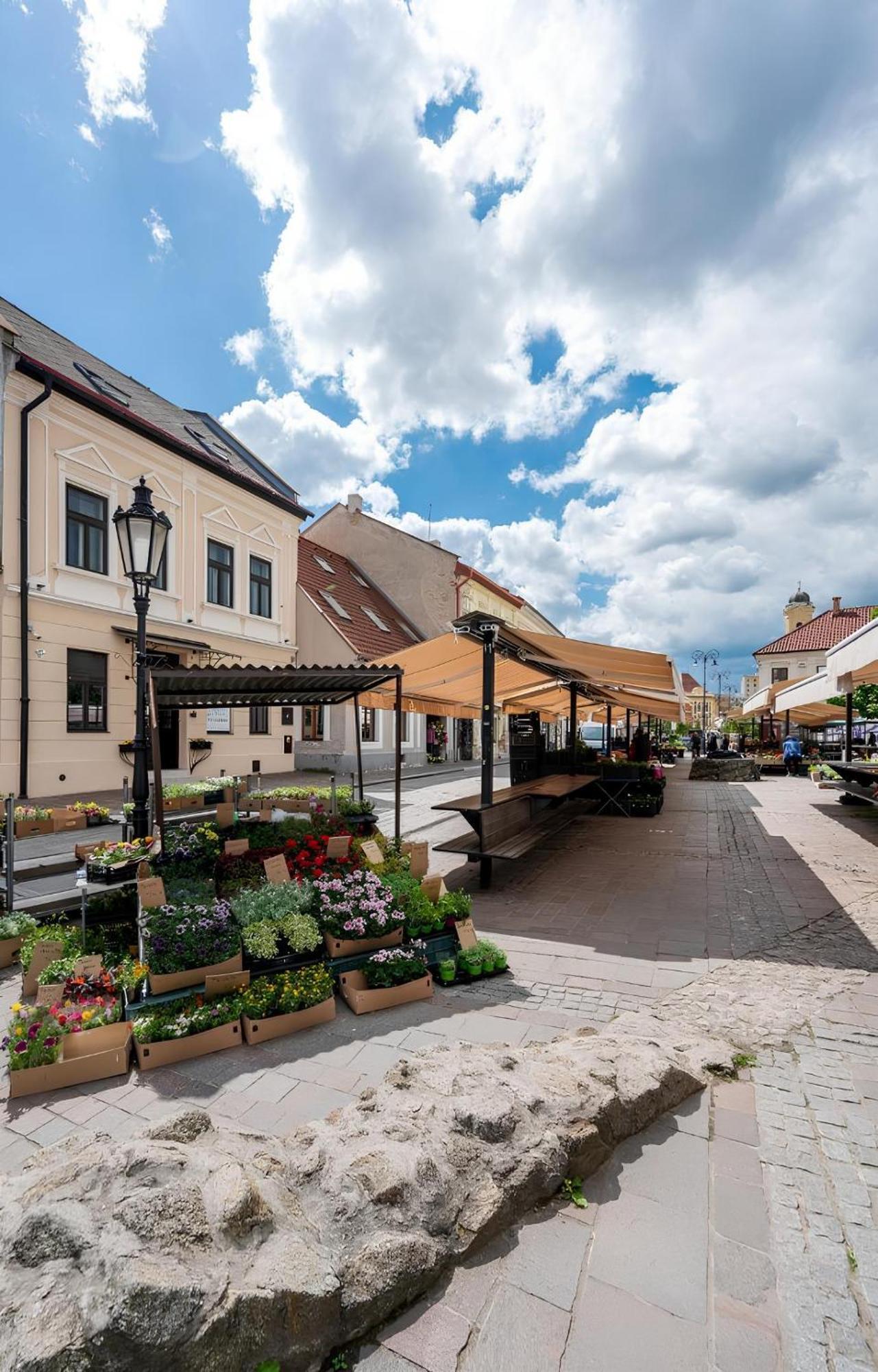 Hotel Zlate Kosice Košice Exterior foto